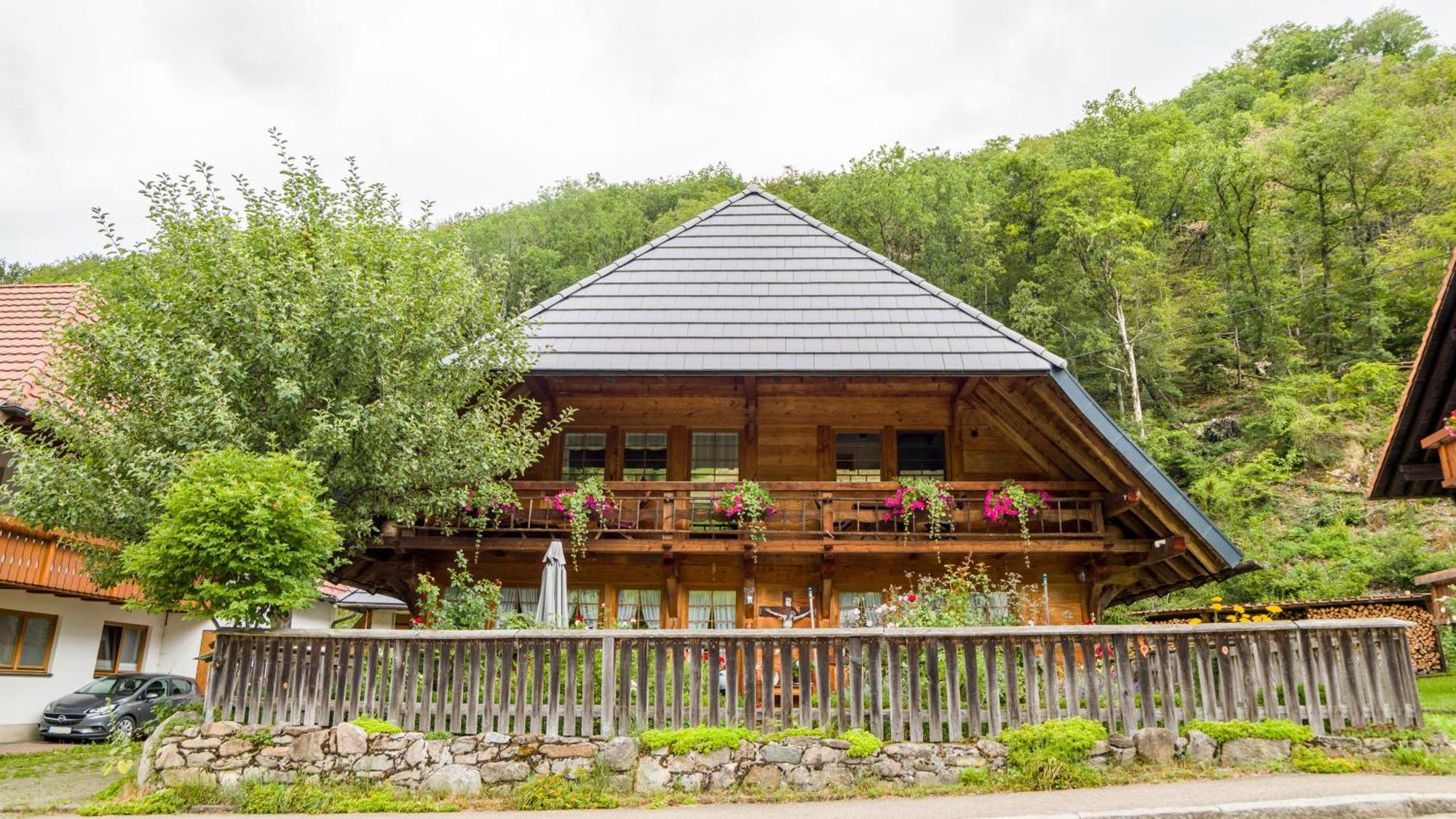 Haus Miriam Lägenhet Münstertal Exteriör bild